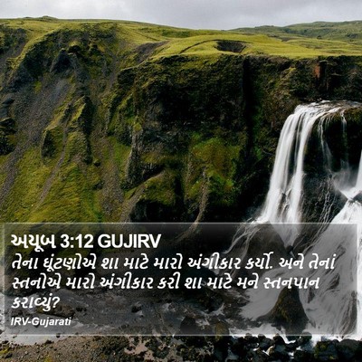 અયૂબ 3:12 GUJIRV Bible Verse Image