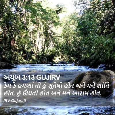 અયૂબ 3:13 GUJIRV Bible Verse Image