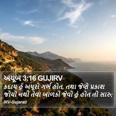 અયૂબ 3:16 GUJIRV Bible Verse Image