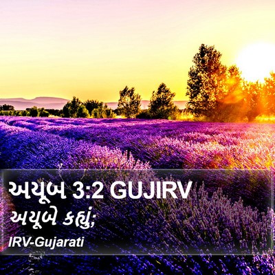 અયૂબ 3:2 GUJIRV Bible Verse Image