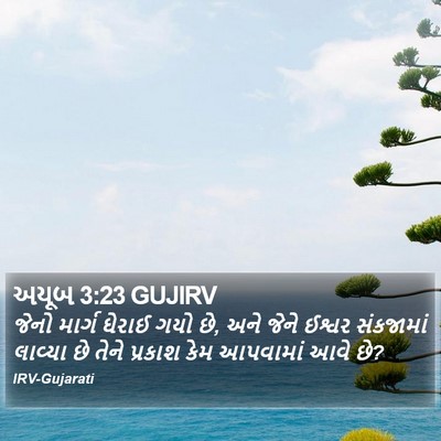 અયૂબ 3:23 GUJIRV Bible Verse Image