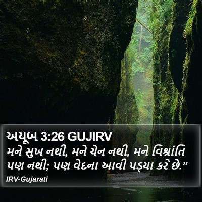 અયૂબ 3:26 GUJIRV Bible Verse Image