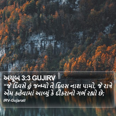 અયૂબ 3:3 GUJIRV Bible Verse Image