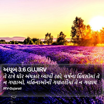અયૂબ 3:6 GUJIRV Bible Verse Image