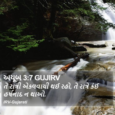 અયૂબ 3:7 GUJIRV Bible Verse Image