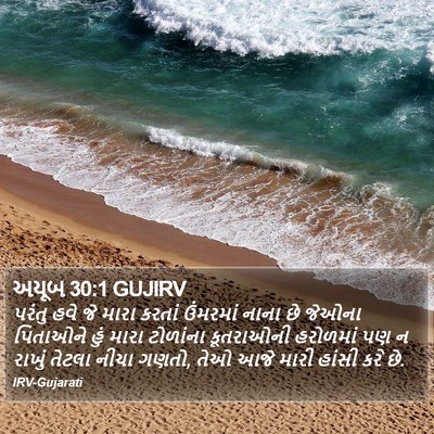 અયૂબ 30:1 GUJIRV Bible Verse Image