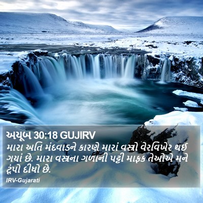 અયૂબ 30:18 GUJIRV Bible Verse Image