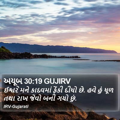 અયૂબ 30:19 GUJIRV Bible Verse Image