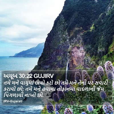 અયૂબ 30:22 GUJIRV Bible Verse Image