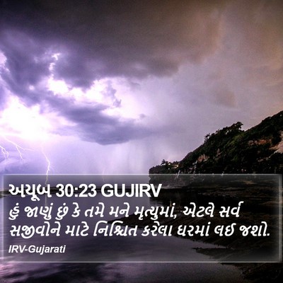 અયૂબ 30:23 GUJIRV Bible Verse Image