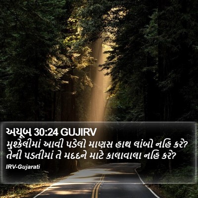 અયૂબ 30:24 GUJIRV Bible Verse Image