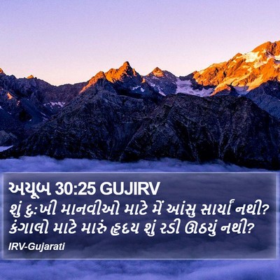 અયૂબ 30:25 GUJIRV Bible Verse Image