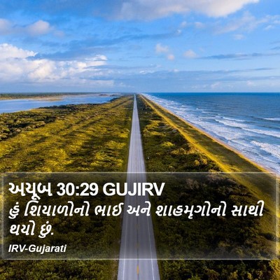 અયૂબ 30:29 GUJIRV Bible Verse Image