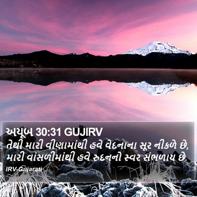 અયૂબ 30:31 GUJIRV Bible Verse Image