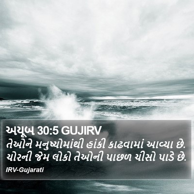 અયૂબ 30:5 GUJIRV Bible Verse Image