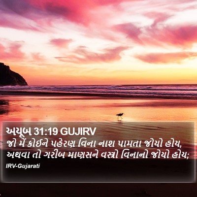 અયૂબ 31:19 GUJIRV Bible Verse Image