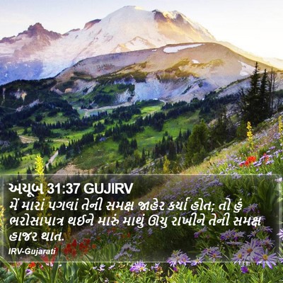 અયૂબ 31:37 GUJIRV Bible Verse Image