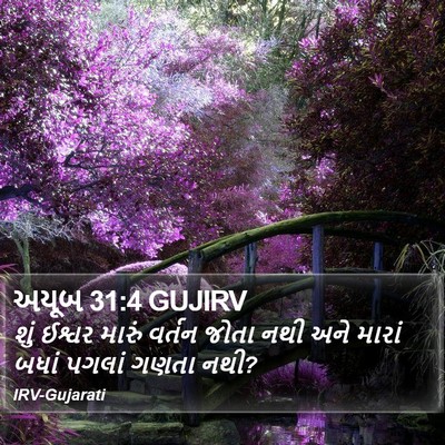 અયૂબ 31:4 GUJIRV Bible Verse Image