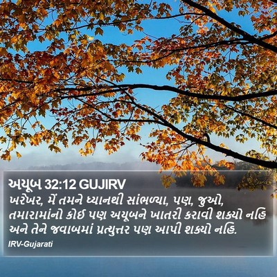 અયૂબ 32:12 GUJIRV Bible Verse Image
