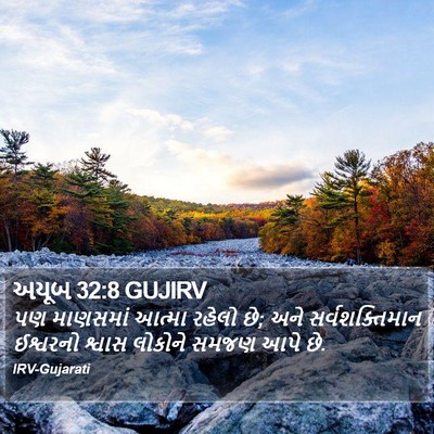 અયૂબ 32:8 GUJIRV Bible Verse Image