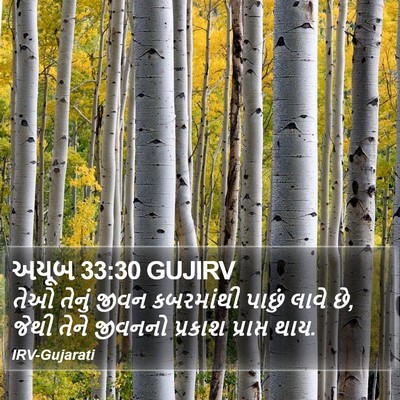 અયૂબ 33:30 GUJIRV Bible Verse Image