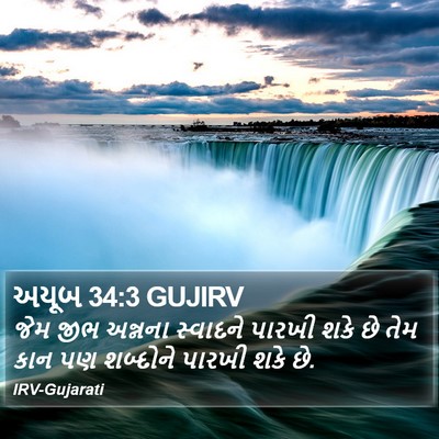 અયૂબ 34:3 GUJIRV Bible Verse Image