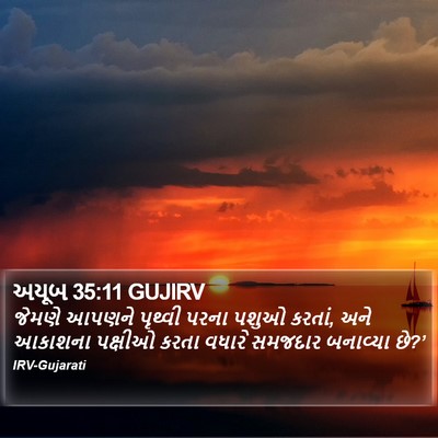 અયૂબ 35:11 GUJIRV Bible Verse Image