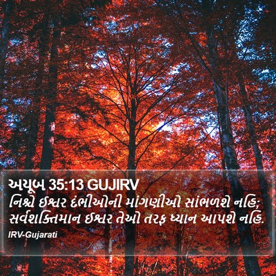 અયૂબ 35:13 GUJIRV Bible Verse Image