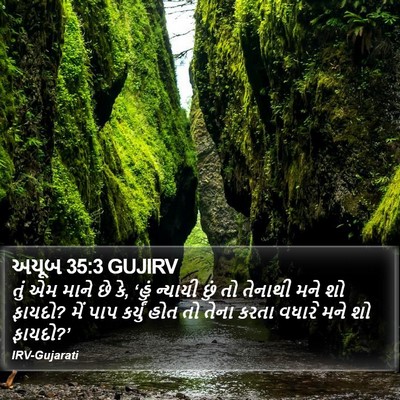 અયૂબ 35:3 GUJIRV Bible Verse Image