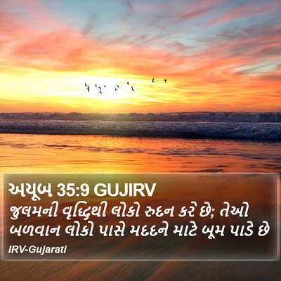 અયૂબ 35:9 GUJIRV Bible Verse Image