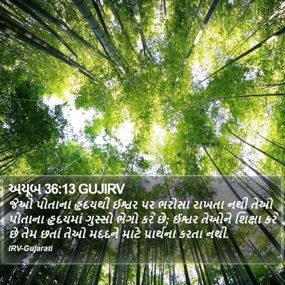 અયૂબ 36:13 GUJIRV Bible Verse Image