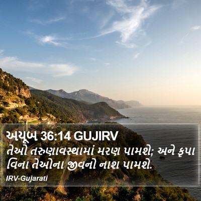 અયૂબ 36:14 GUJIRV Bible Verse Image