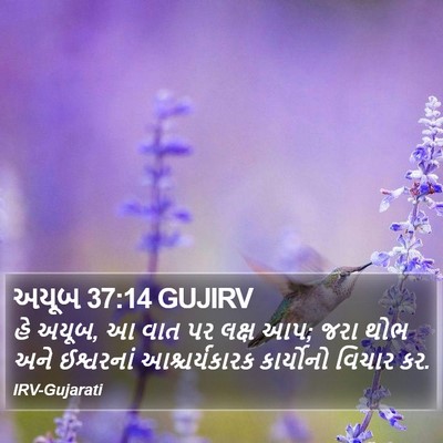 અયૂબ 37:14 GUJIRV Bible Verse Image