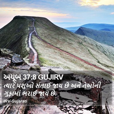અયૂબ 37:8 GUJIRV Bible Verse Image