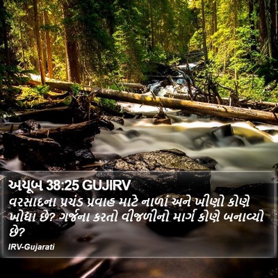 અયૂબ 38:25 GUJIRV Bible Verse Image