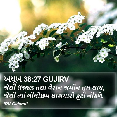 અયૂબ 38:27 GUJIRV Bible Verse Image