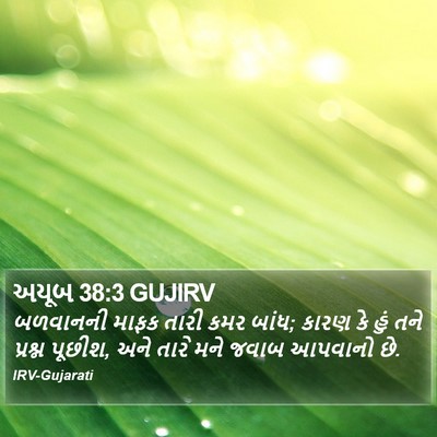 અયૂબ 38:3 GUJIRV Bible Verse Image