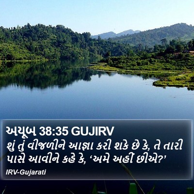 અયૂબ 38:35 GUJIRV Bible Verse Image