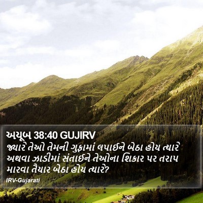 અયૂબ 38:40 GUJIRV Bible Verse Image