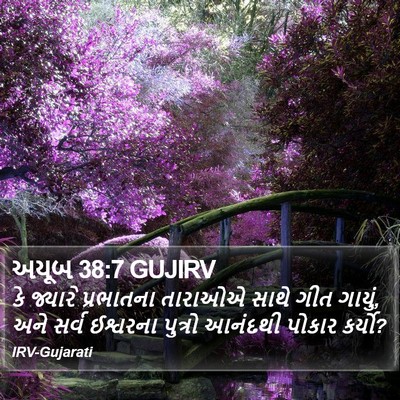 અયૂબ 38:7 GUJIRV Bible Verse Image