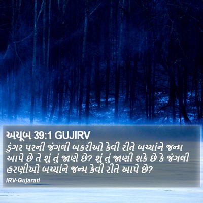 અયૂબ 39:1 GUJIRV Bible Verse Image