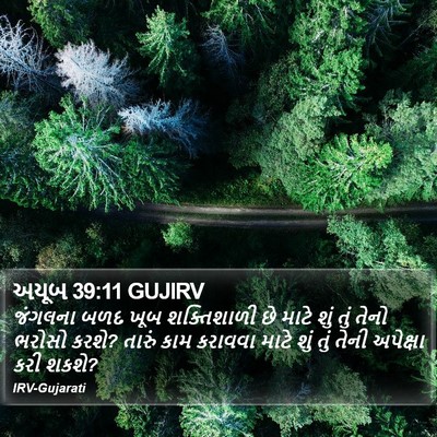 અયૂબ 39:11 GUJIRV Bible Verse Image