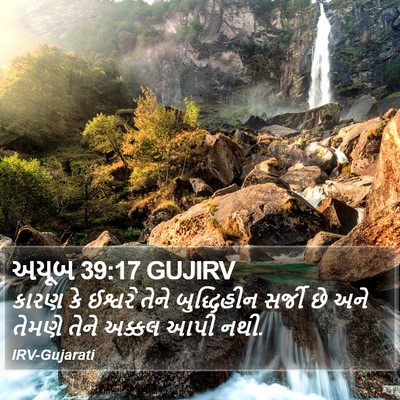 અયૂબ 39:17 GUJIRV Bible Verse Image