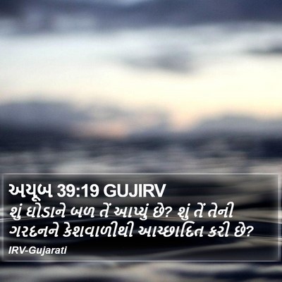 અયૂબ 39:19 GUJIRV Bible Verse Image