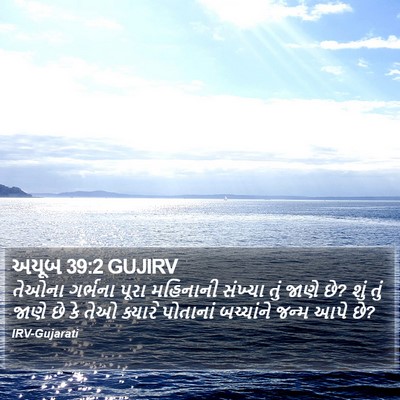 અયૂબ 39:2 GUJIRV Bible Verse Image
