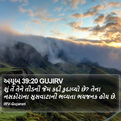 અયૂબ 39:20 GUJIRV Bible Verse Image