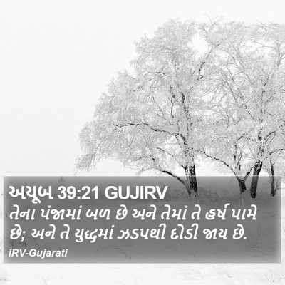 અયૂબ 39:21 GUJIRV Bible Verse Image