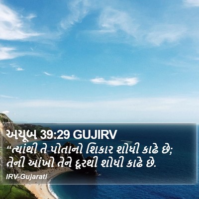 અયૂબ 39:29 GUJIRV Bible Verse Image