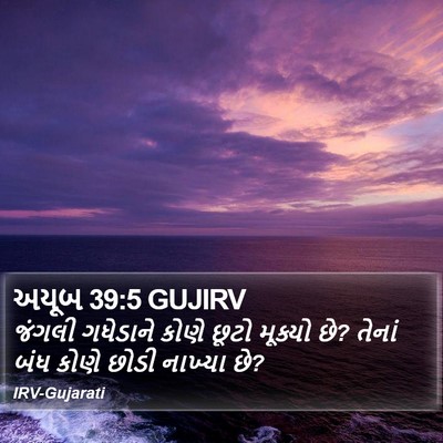 અયૂબ 39:5 GUJIRV Bible Verse Image