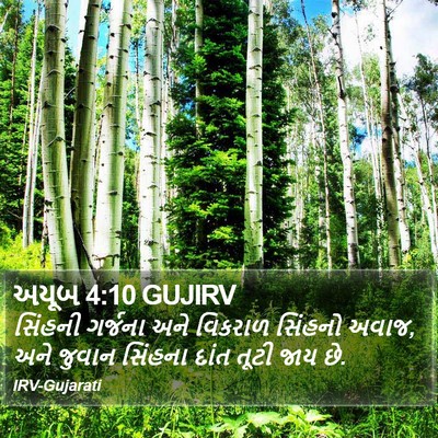 અયૂબ 4:10 GUJIRV Bible Verse Image